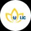 LIC MF MULTI ASSET ALLOCATION FUND - REGULAR PLAN - GROWTH