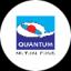 QUANTUM ELSS TAX SAVER FUND - REGULAR PLAN GROWTH OPTION