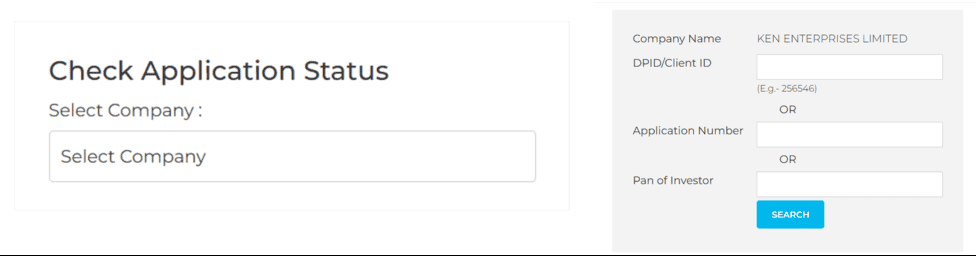 Screenshot of IPO Allotment Status Check Form on Skyline Services